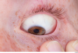 HD Eyes Fergal eye eyebrow eyelash iris pupil skin texture…